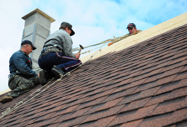 Best Roof Maintenance Services  in Treasure Lake, PA